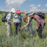 Open Space Weed Management Tour Profile Photo