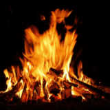 Season of Change: Autumn Community Fire & Gathering Profile Photo