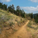 Apex Trail Work - COMBA/TRV Profile Photo