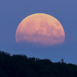 A Full Moon Sunset Hike: The Hunter's Moon Profile Photo