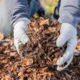 Mulch Enhancement Profile Photo