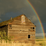 Recovery and Wellness Series: Conscious Reconnection on the Farm Profile Photo