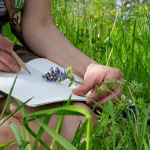 Nature Journaling Profile Photo