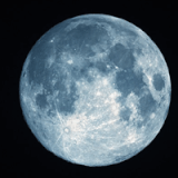 Full Moon Hike: The Cold Moon Profile Photo
