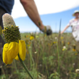 National Public Lands Day - Native Seed Collection! Profile Photo