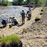Earth Day Riparian Planting Project Profile Photo