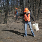 Cal-Wood Fire Recovery Seeding 9am - 2pm! Profile Photo