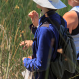 Cancelled -- Low seeds &volunteers Native Seed Collection - Sept. 12 Profile Photo