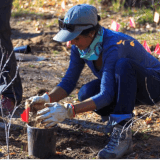 Native Shrub Planting at South Boulder Creek with the Audubon Society Profile Photo