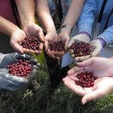 Native Seed Collection! Profile Photo
