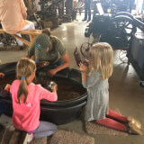 Gold Panning: Noon Session Profile Photo