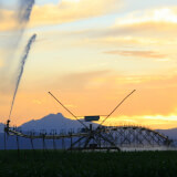 Large sprinkler in an ag field