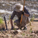 Creek Restoration Planting! Profile Photo