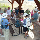 CANCELED: Scales on the Trail: Demystifying the Rattlesnake Profile Photo