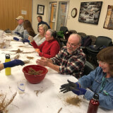 Native Seed Cleaning! Profile Photo