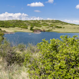 Rueter-Hess Recreation Welcome Team Profile Photo