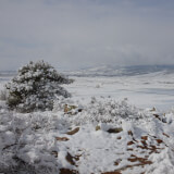 Winter Solstice at the Preserve Profile Photo