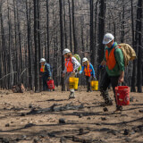 Calwood Fire - Burn Scar Ecology Hike Profile Photo