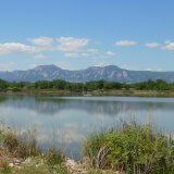 Hikes for Seniors: A Walk Around the Ponds Profile Photo