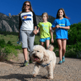Summit Green Mountain with Your Dog! Profile Photo