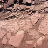 Fossilized mud cracks in stone steps at Hall Ranch