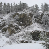 Wildlife in Winter Hike Profile Photo