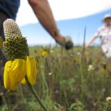 CANCELED: Native Seed Collection! Profile Photo