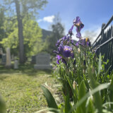 Cemetery Sunday with the CCCC! Profile Photo