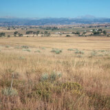 The Hidden Worlds of the Shortgrass Prairie Profile Photo