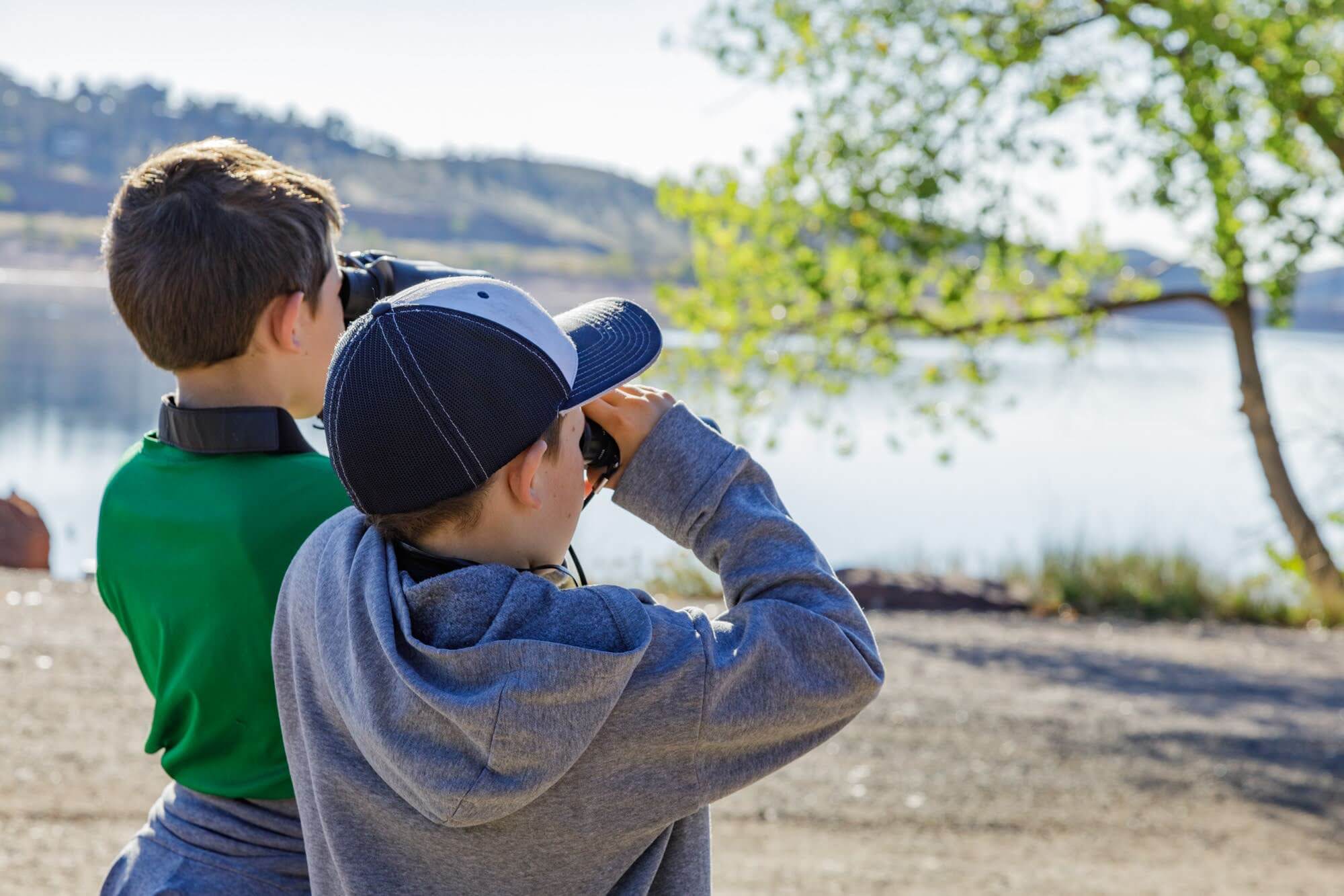 Bald Eagle Viewing Profile Photo