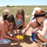 Naturalists Get Involved Photo